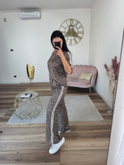 Coordinato Elettra